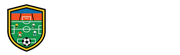足球直播